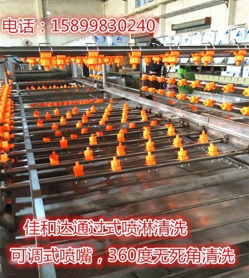 食品周轉(zhuǎn)箱清洗機(jī)與膠箱自動(dòng)噴淋清洗機(jī) 珠三角廠家直銷的高效解決方案